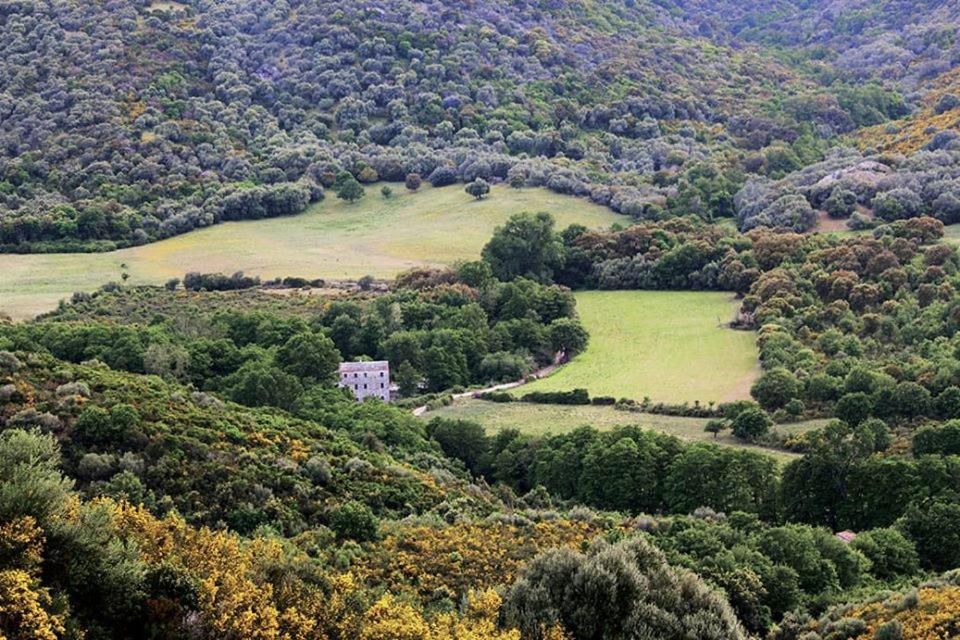 La Bergerie Du Moulin Appartement San-Gavino-di-Tenda